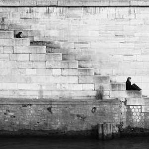 输入手机号登录